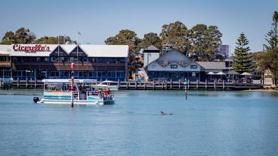 One-Hour Scenic Dolphin-Watching Cruise through Mandurah Canals