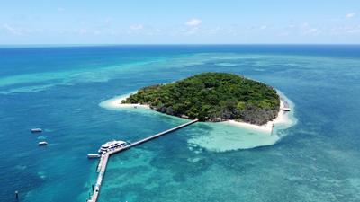 Green Island Reef Cruises with Optional Glass-Bottom Boat Tour, Snorkelling or Buffet Lunch Upgrades