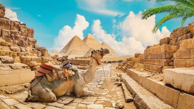 Deluxe 14-Day Egypt & Jordan Discovery 2026 with Dead Sea, Petra & Wadi Rum by 