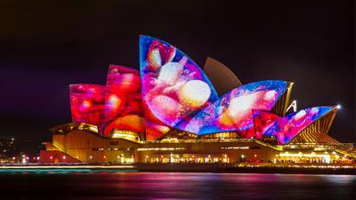 Sydney: Spectacular Two-Hour Vivid Sydney Harbour Cruise with Standing Buffet