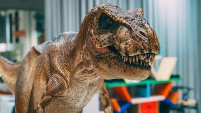 Melbourne: 110-Minute Admission to Dinosaur-Themed Inflatable Fun Park