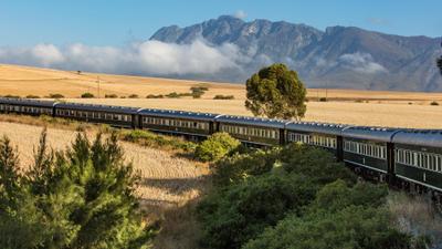 Ultra-Lux 10-Day Private South Africa Safari with Rovos Rail & All-Inclusive Sabi Sands Lodge  by 