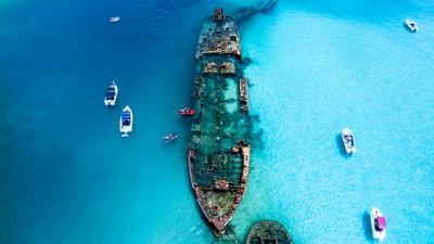 Moreton Island Guided Eco Marine Cruise with Snorkelling & Lunch