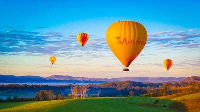 Gold Coast: Early Morning Hinterland Hot Air Balloon Flight with O’Reilly’s Vineyard Breakfast & Whale Watching Tour