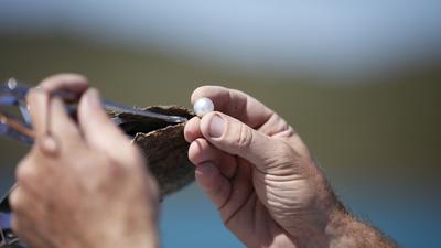 Broome: Save up to 25% on Guided Four-Hour Paspaley Pearl Tour with Return Transfers