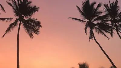 Sri Villas, Induruwa, Sri Lanka