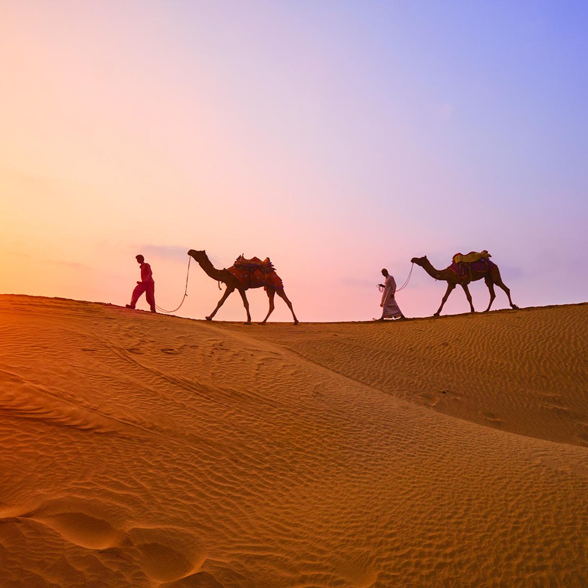 Premium 11-Day India Heritage Odyssey Rail Journey aboard Luxury Deccan Odyssey with Delhi, Agra & Udaipur by  4