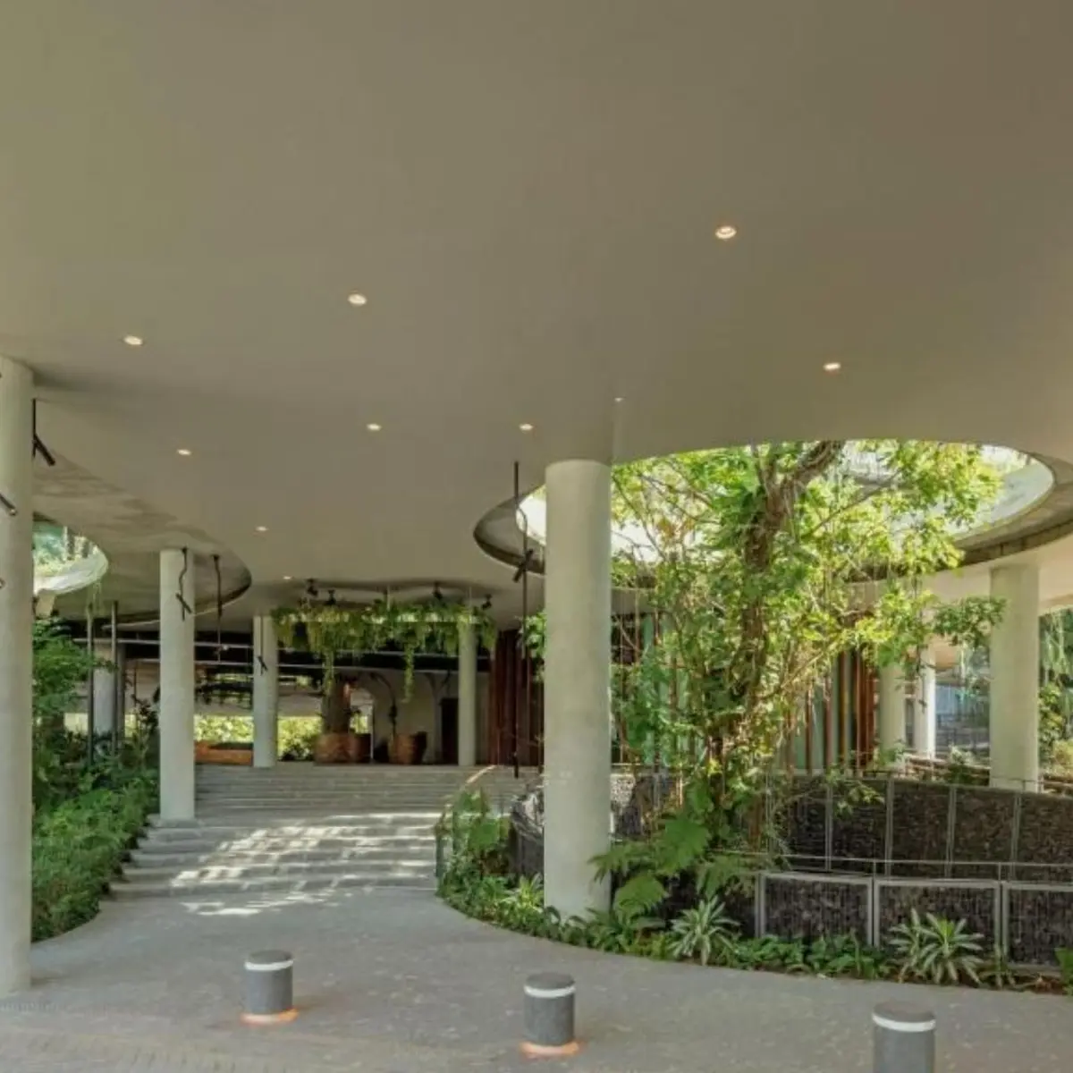 Mandai Rainforest Resort by Banyan Tree, Singapore, Singapore 8