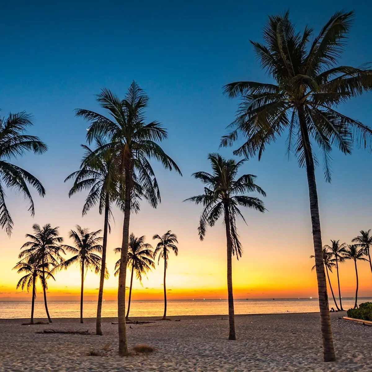 Pullman Phu Quoc Beach Resort, Phu Quoc, Vietnam 8