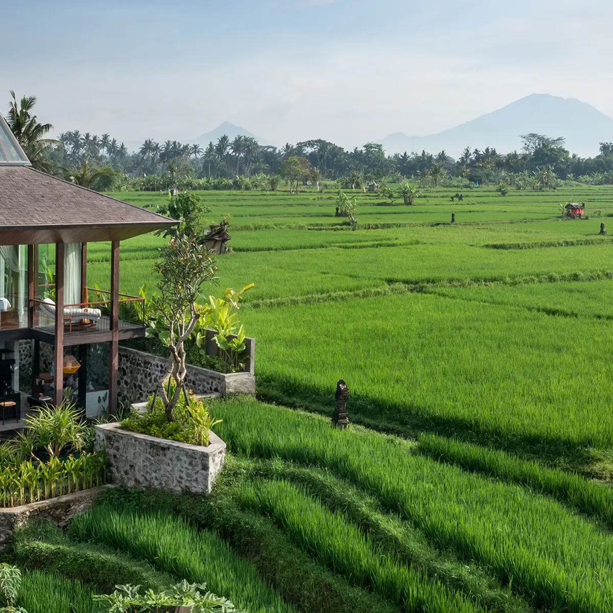 Gdas Bali Health and Wellness Resort, Ubud, Bali 1