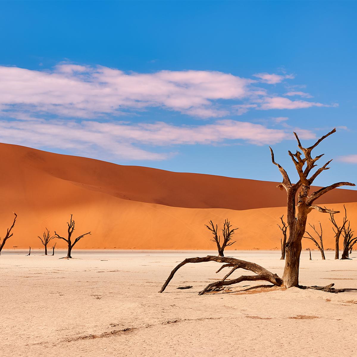 Deluxe 21-Day Ultimate Southern Africa 2027 with Cape Town, Greater Kruger, Victoria Falls & Namib Desert by  7