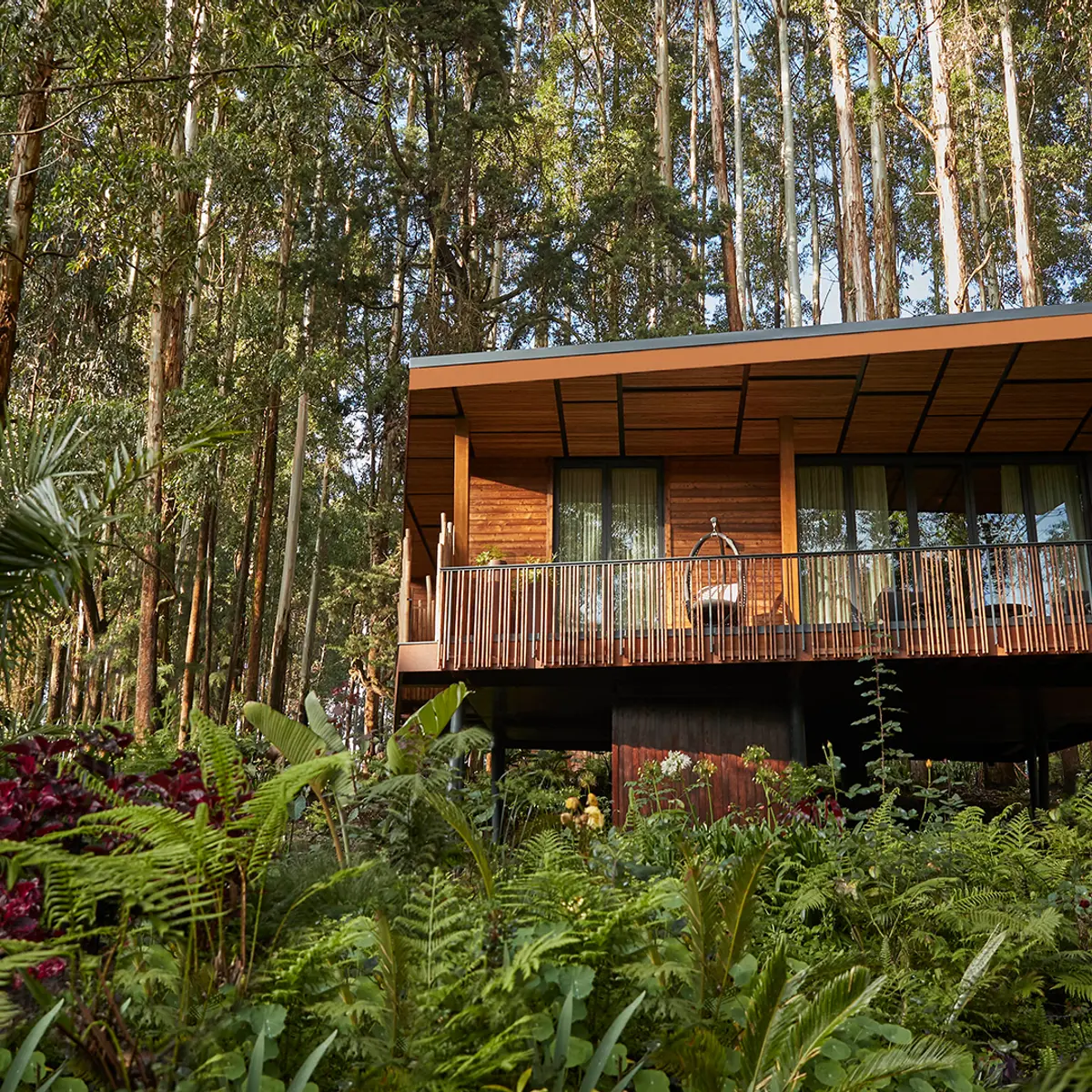 One&Only Gorilla's Nest, Kinigi, Rwanda 1