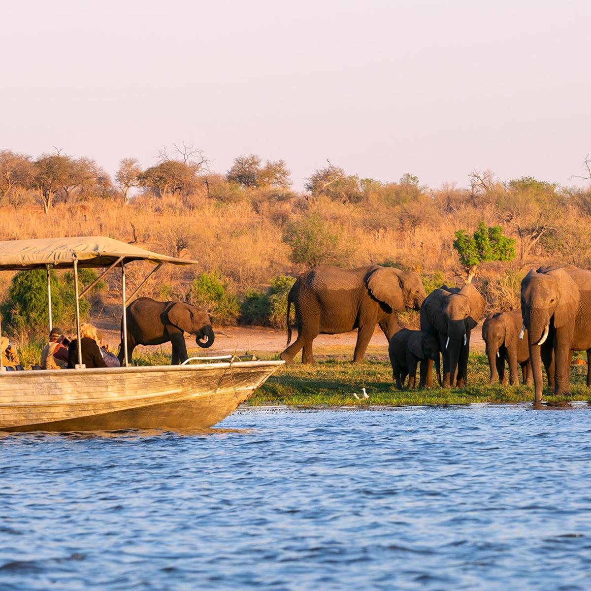 Deluxe 21-Day Ultimate Southern Africa 2027 with Cape Town, Greater Kruger, Victoria Falls & Namib Desert by  5