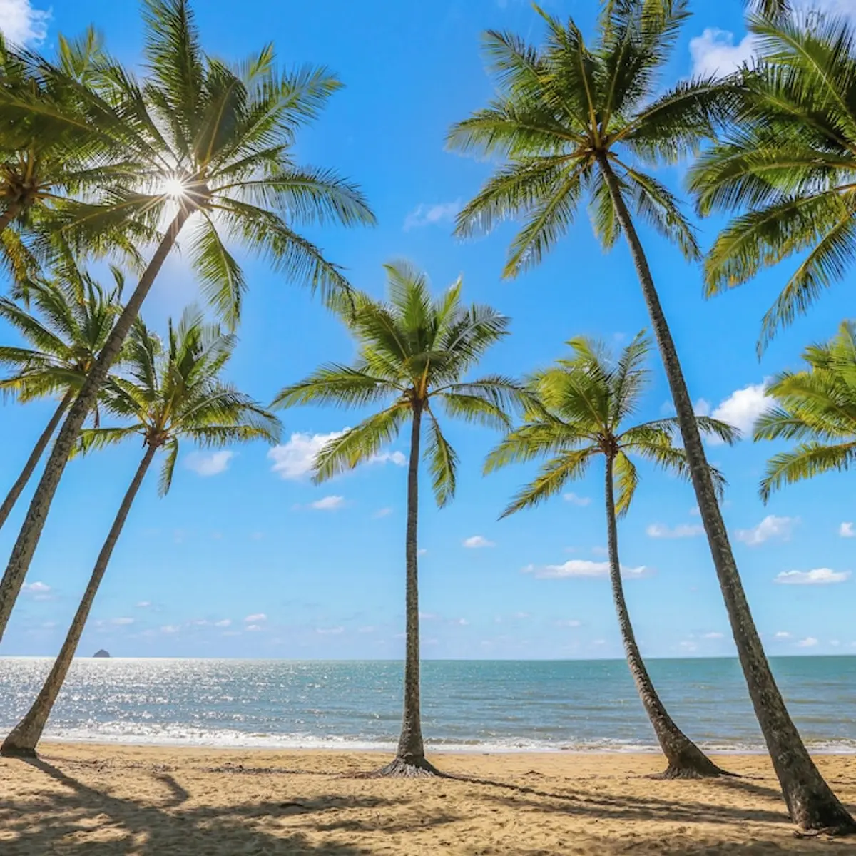 Alamanda Palm Cove by Lancemore, Palm Cove, Australia 1