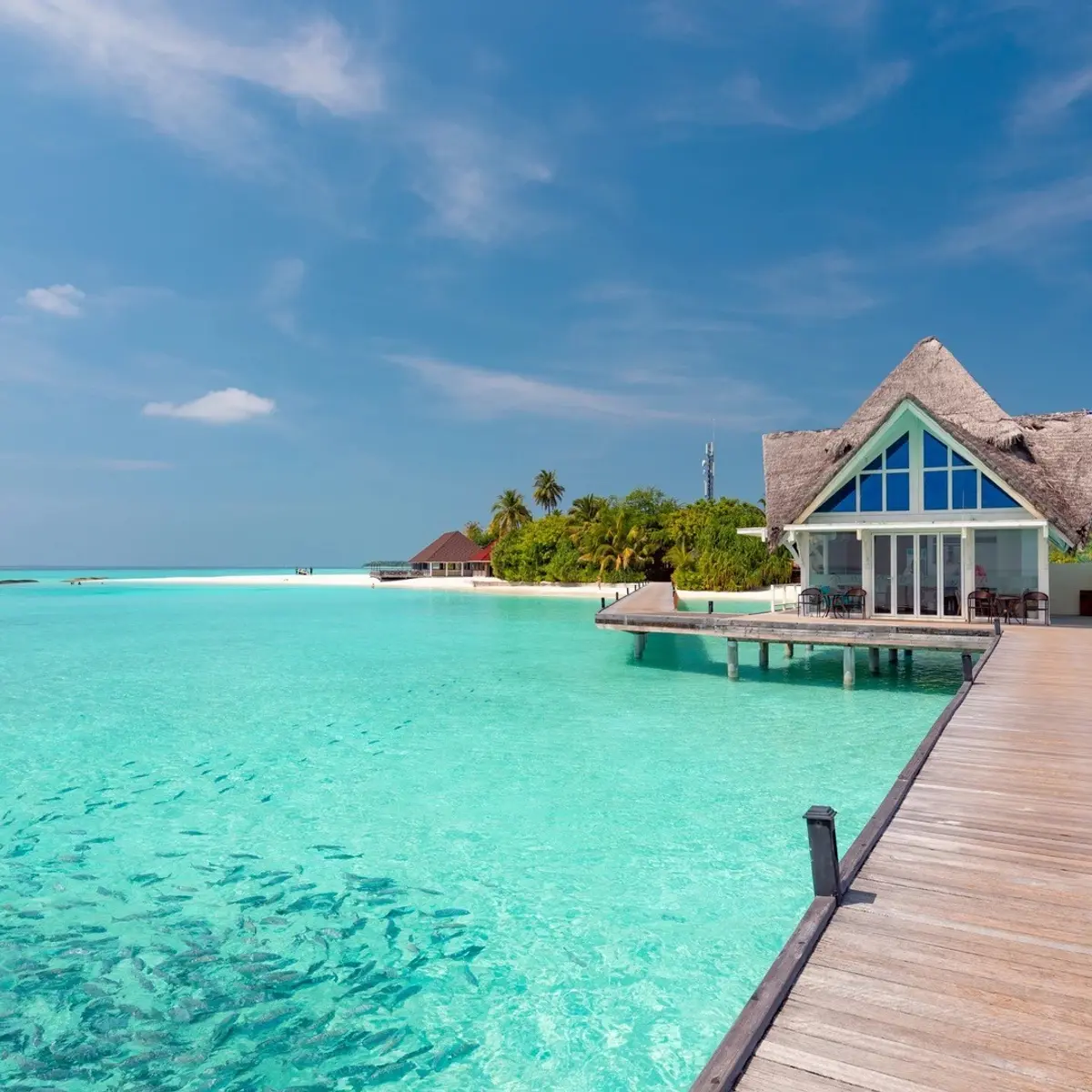 Dhigufaru Island Resort, Baa Atoll, Maldives 7