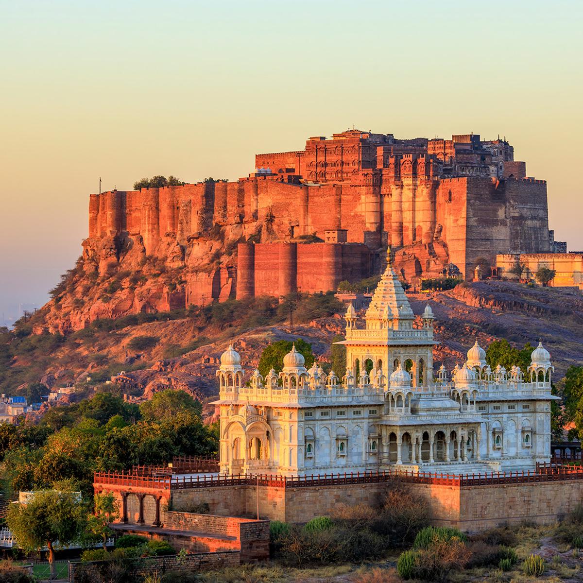 Premium 11-Day India Iconic Deccan Odyssey Luxury Rail Journey with Ranthambore, Agra & Udaipur by  2