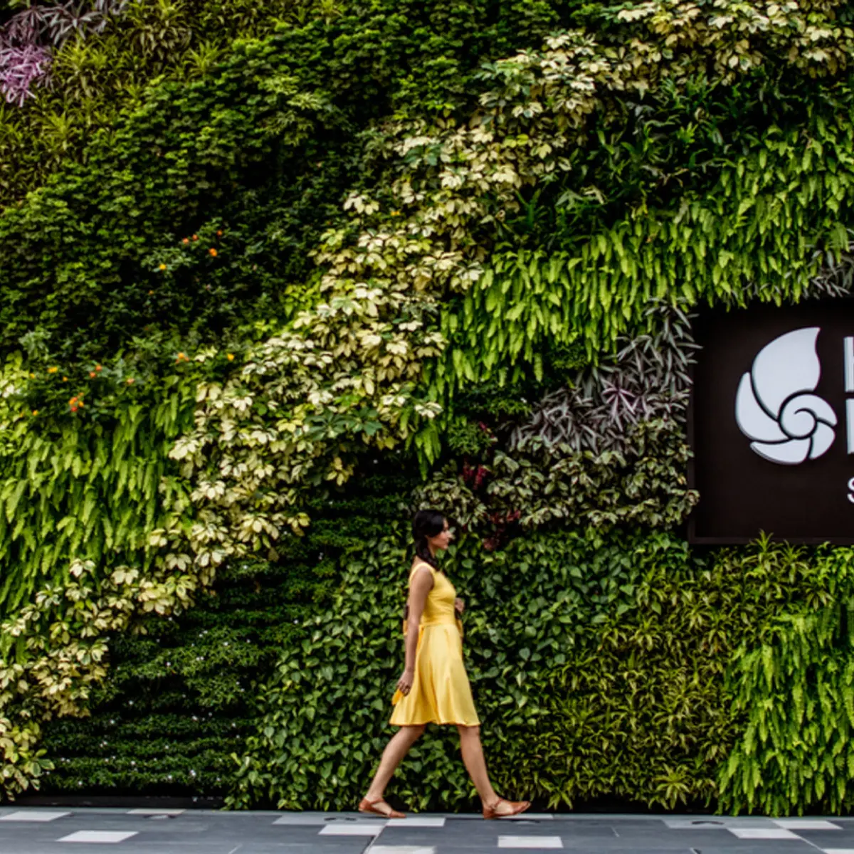 Hotel Indigo Singapore Katong, an IHG Hotel, Singapore, Singapore 8