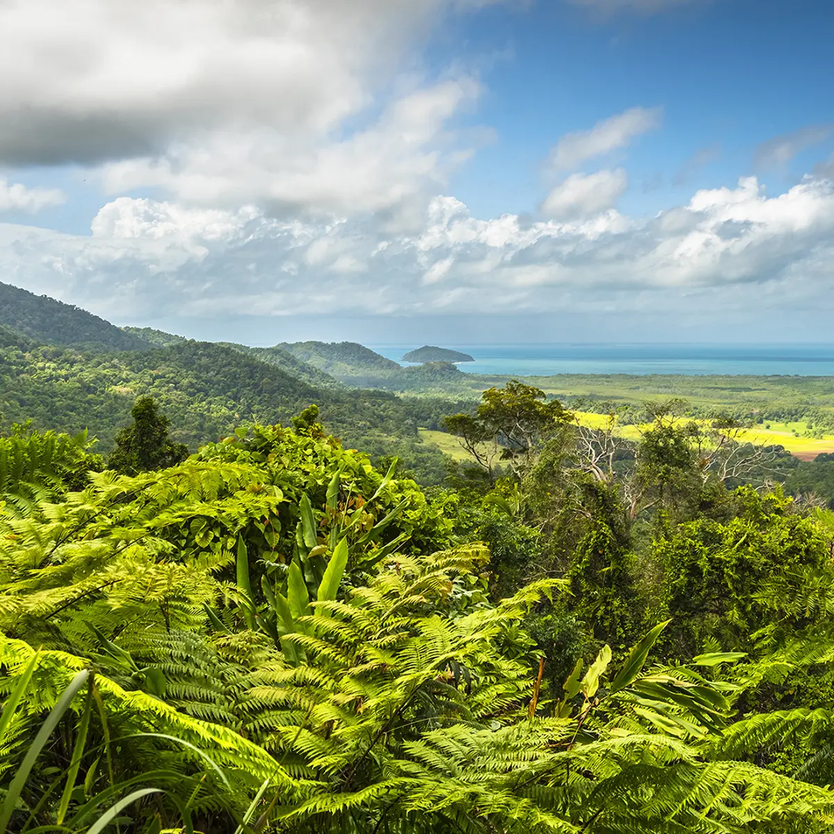 Mantra Amphora Resort, Palm Cove, Queensland 8