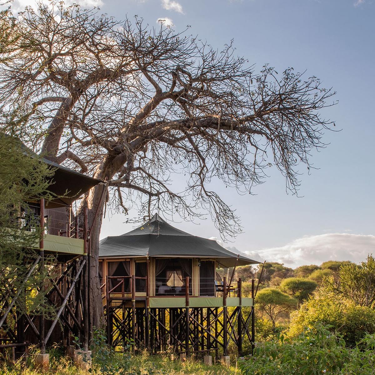 Premium 8-Day Tanzania Safari 2027 with Wellworth Lodge Stays & Serengeti National Park by  4