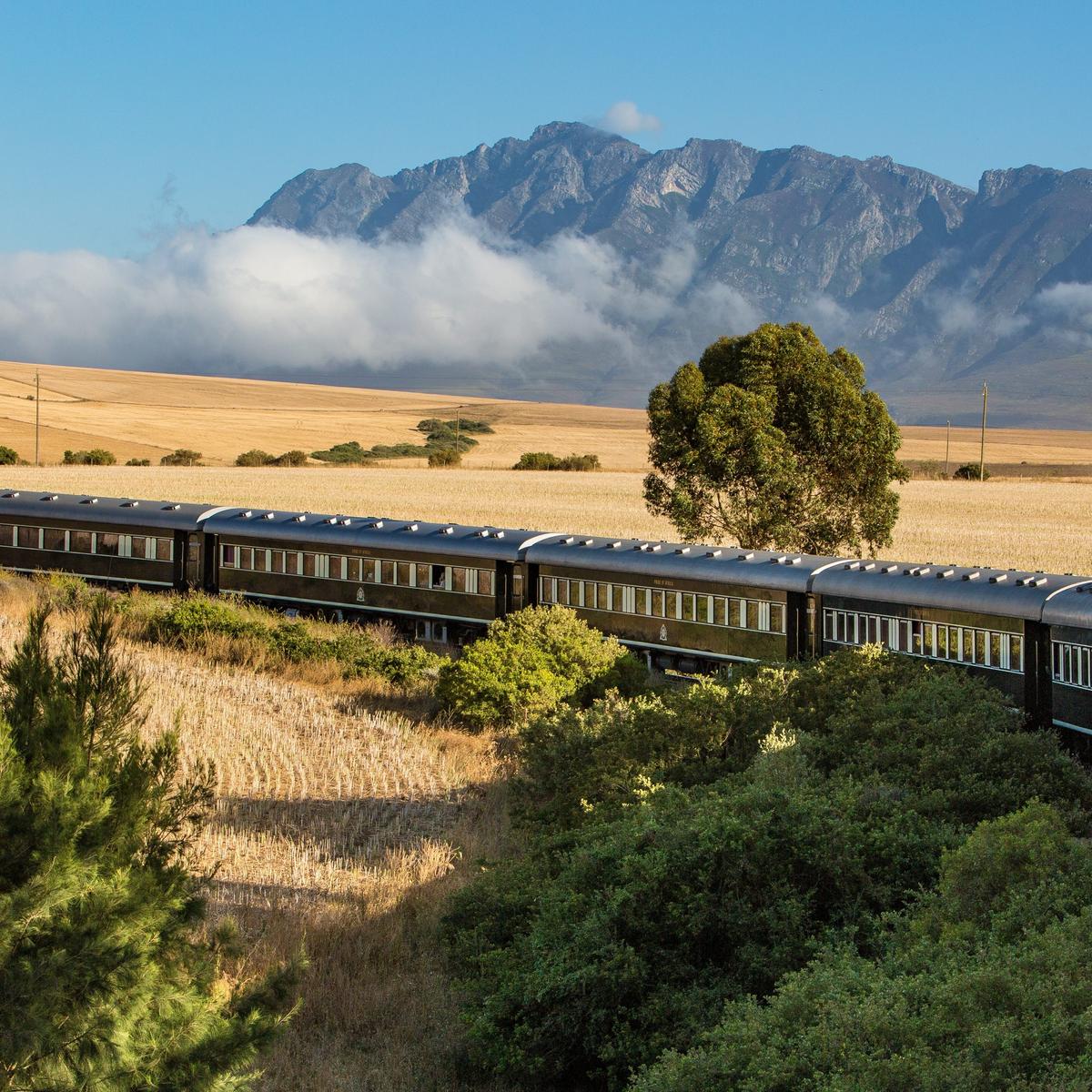 Ultra Lux 10-tägige Rovos-Rail-Reise durch Südafrika, Simbabwe und Botswana mit Chobe Game Lodge und Flusssafari von  6