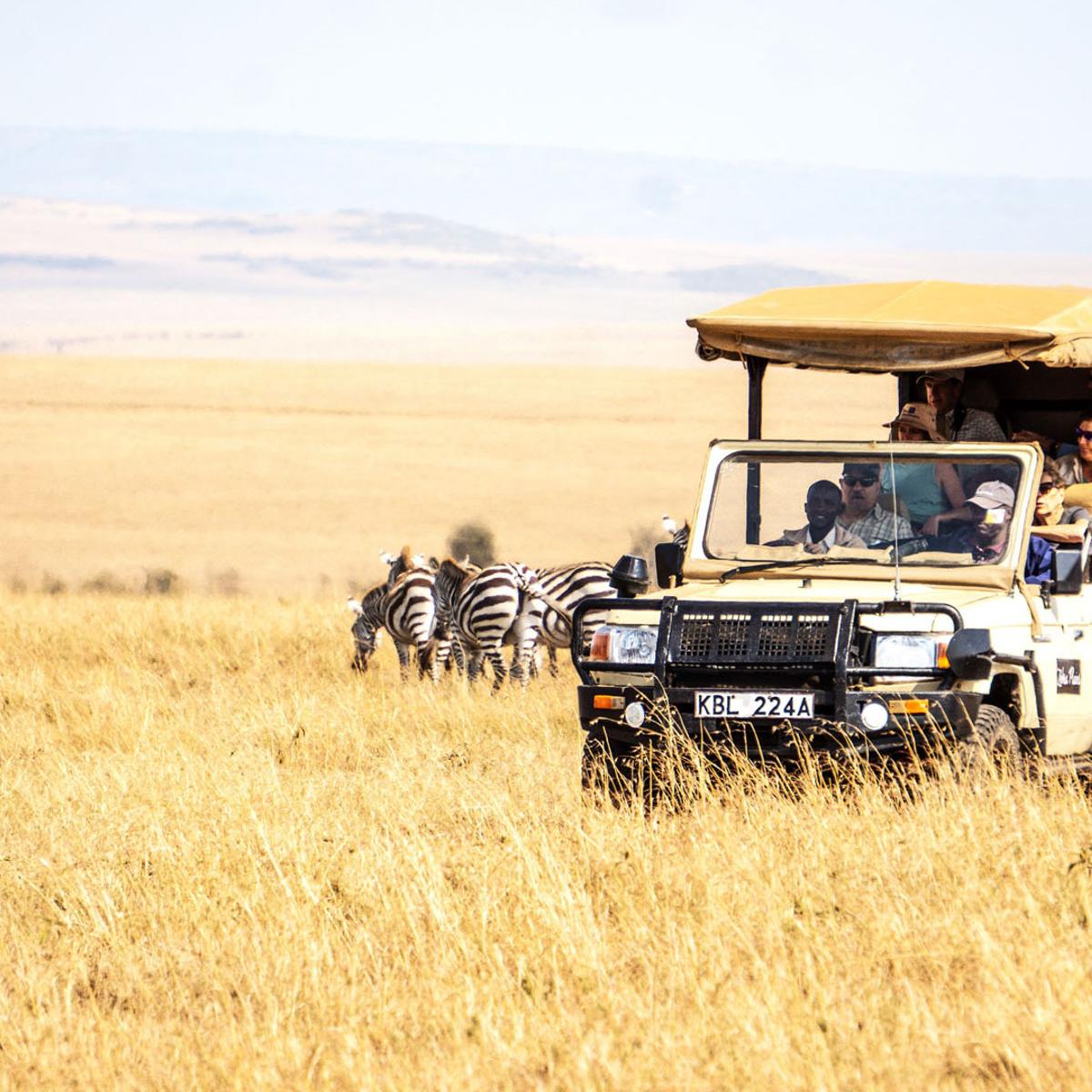 Deluxe 13-Day Kenya & Tanzania Great Migration Safari 2026 with Maasai Mara & Serengeti National Parks by  7