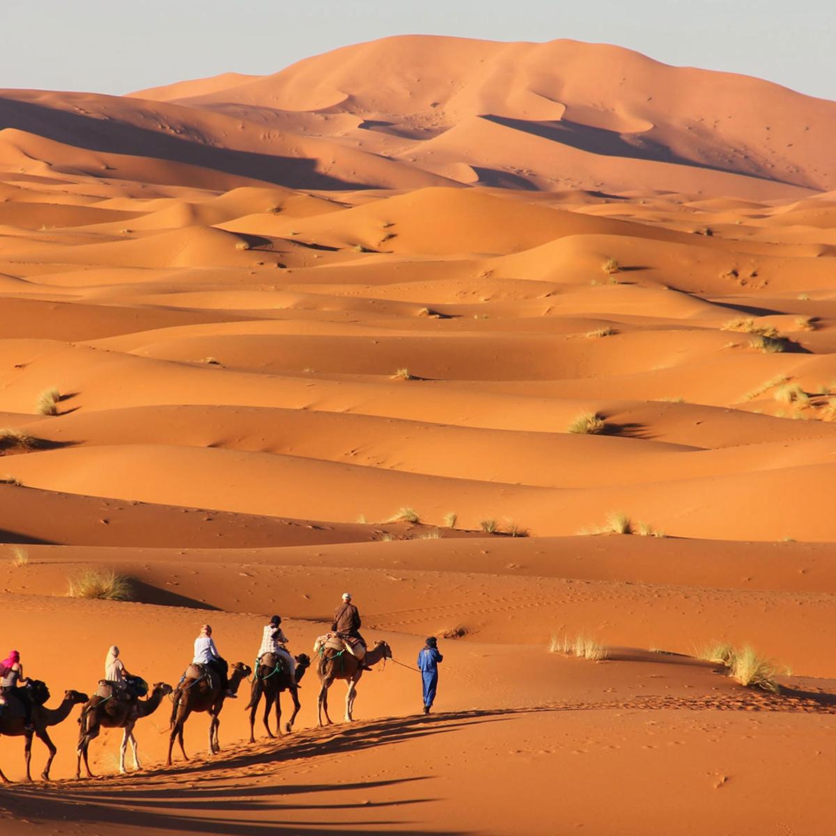 12-tägige Premiumreise zu Marokkos Highlights 2027 mit Aufenthalt in einem Relais & Châteaux Riad, Chefchaouen & Sahara-Wüste von  5