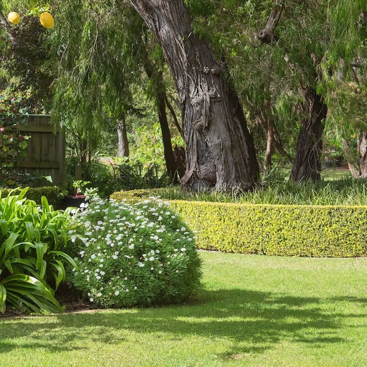 Bayshore Beachside Resort, Quindalup, Australia 7