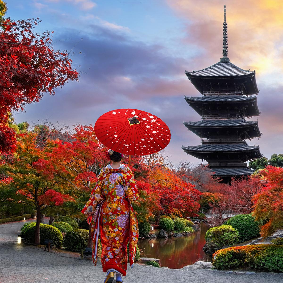 Deluxe 15-Day Best of Japan 2026 with Tokyo, Hiroshima & Osaka  by  1