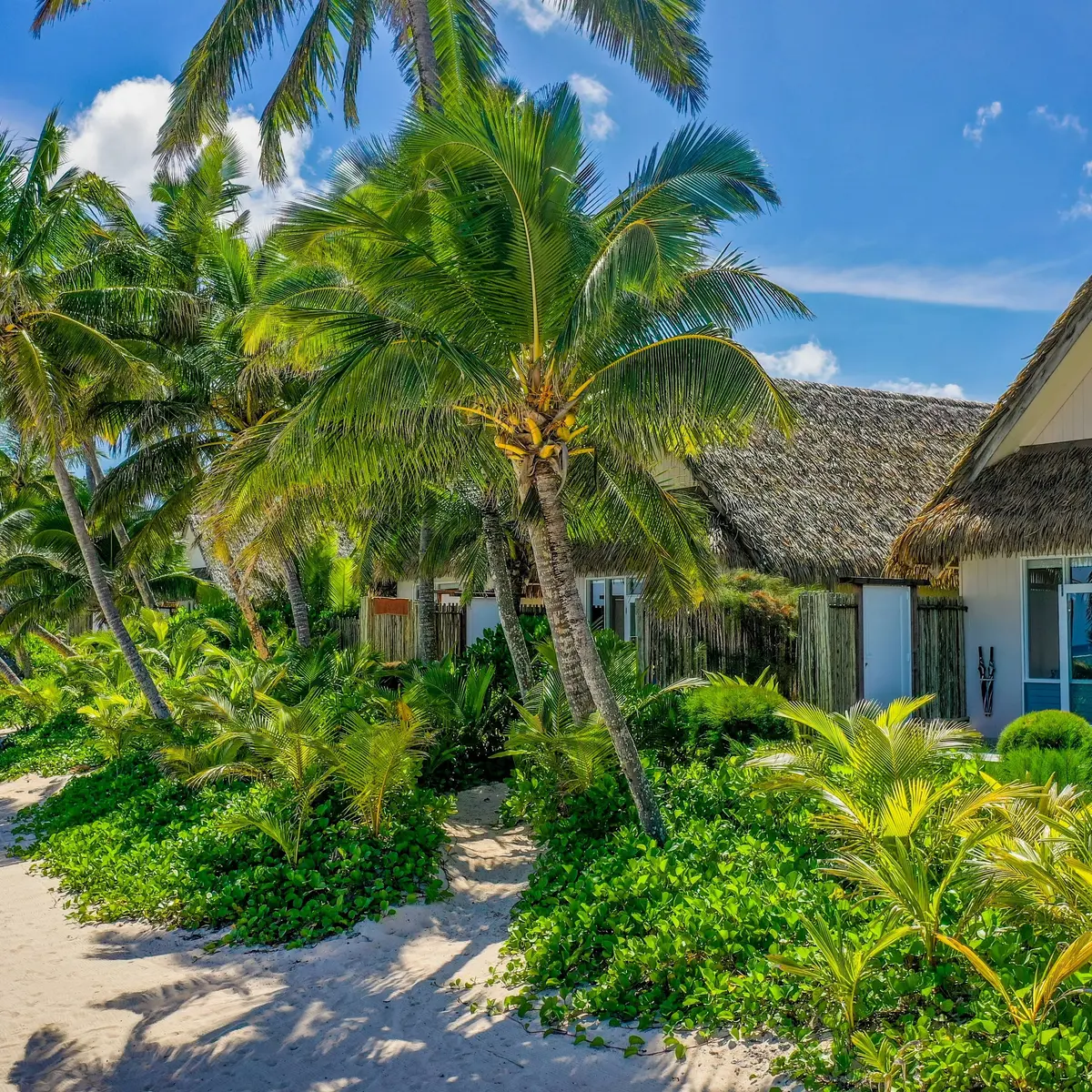 Little Polynesian Resort, Rarotonga, Cook Islands 4