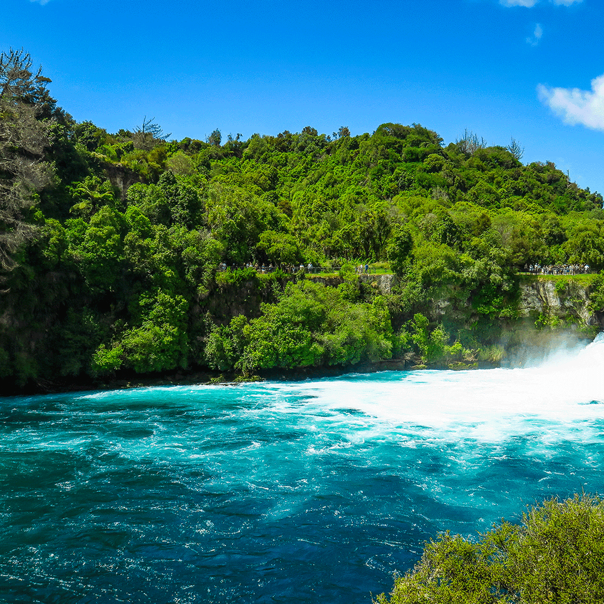 New Zealand 7-Day North Island Highlights with Waitomo Glowworm Caves & Hawke's Bay Wine Tasting by  2