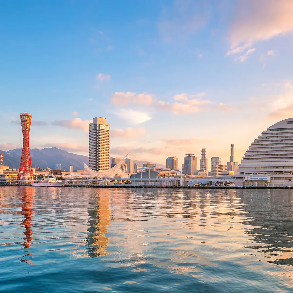 Japan & South Korea, Trusted Partner Cruises – Japan & Korea,  6