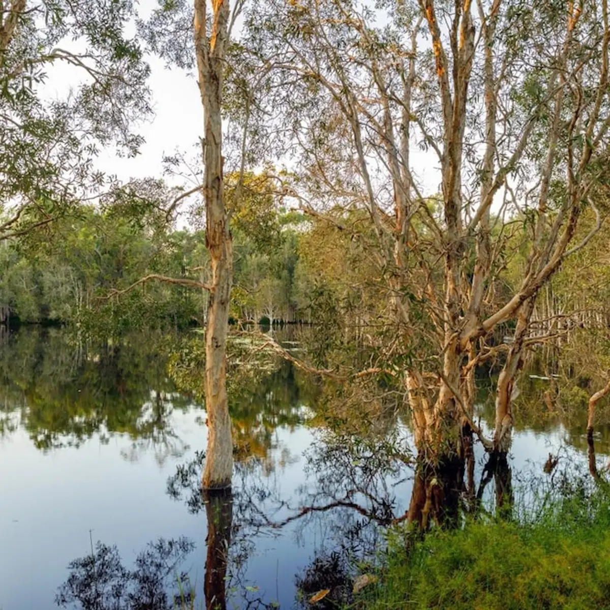 Sanctuary By Sirromet, Mount Cotton, Australia 8