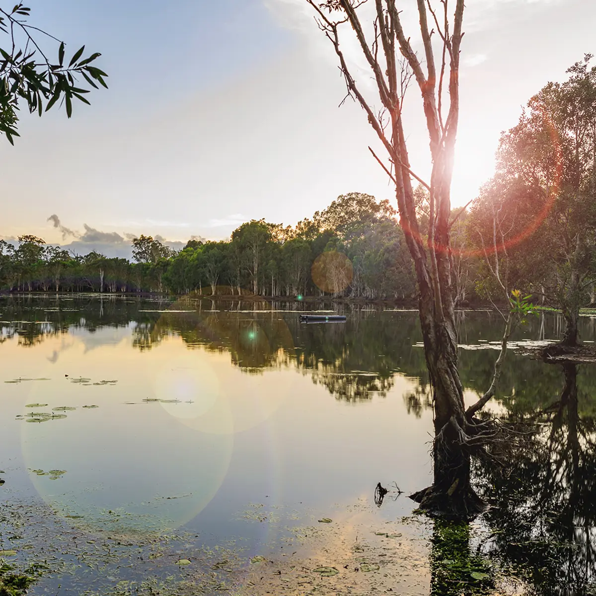 Sanctuary by Sirromet, Mount Cotton, Queensland 2