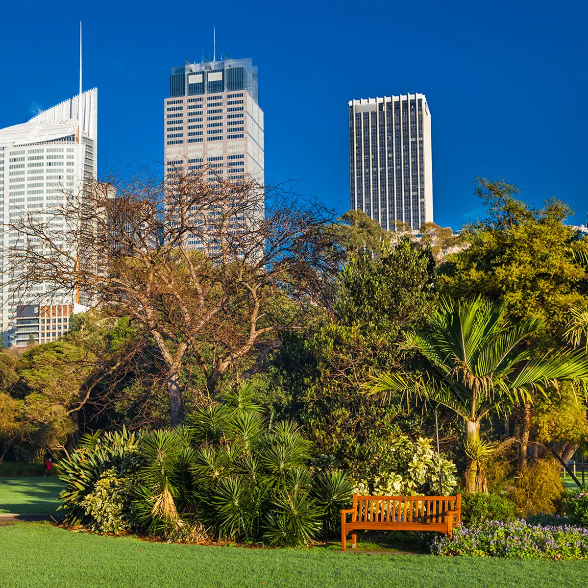 Paradox Sydney, Sydney, New South Wales 6