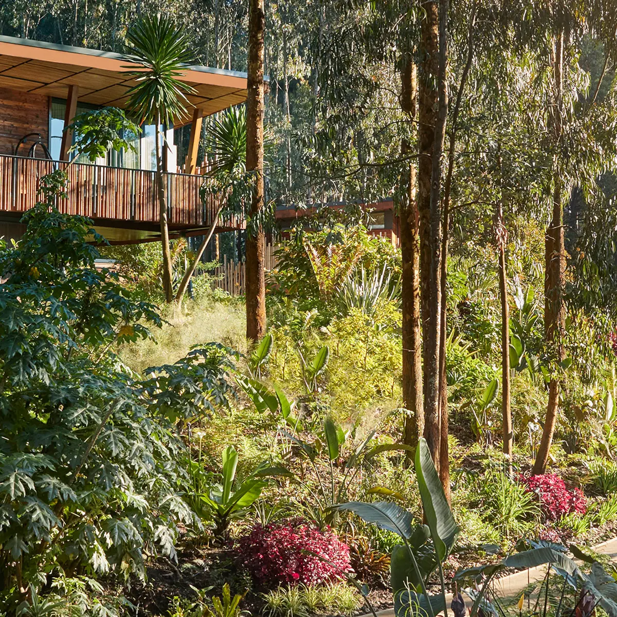 One&Only Gorilla's Nest, Kinigi, Rwanda 5