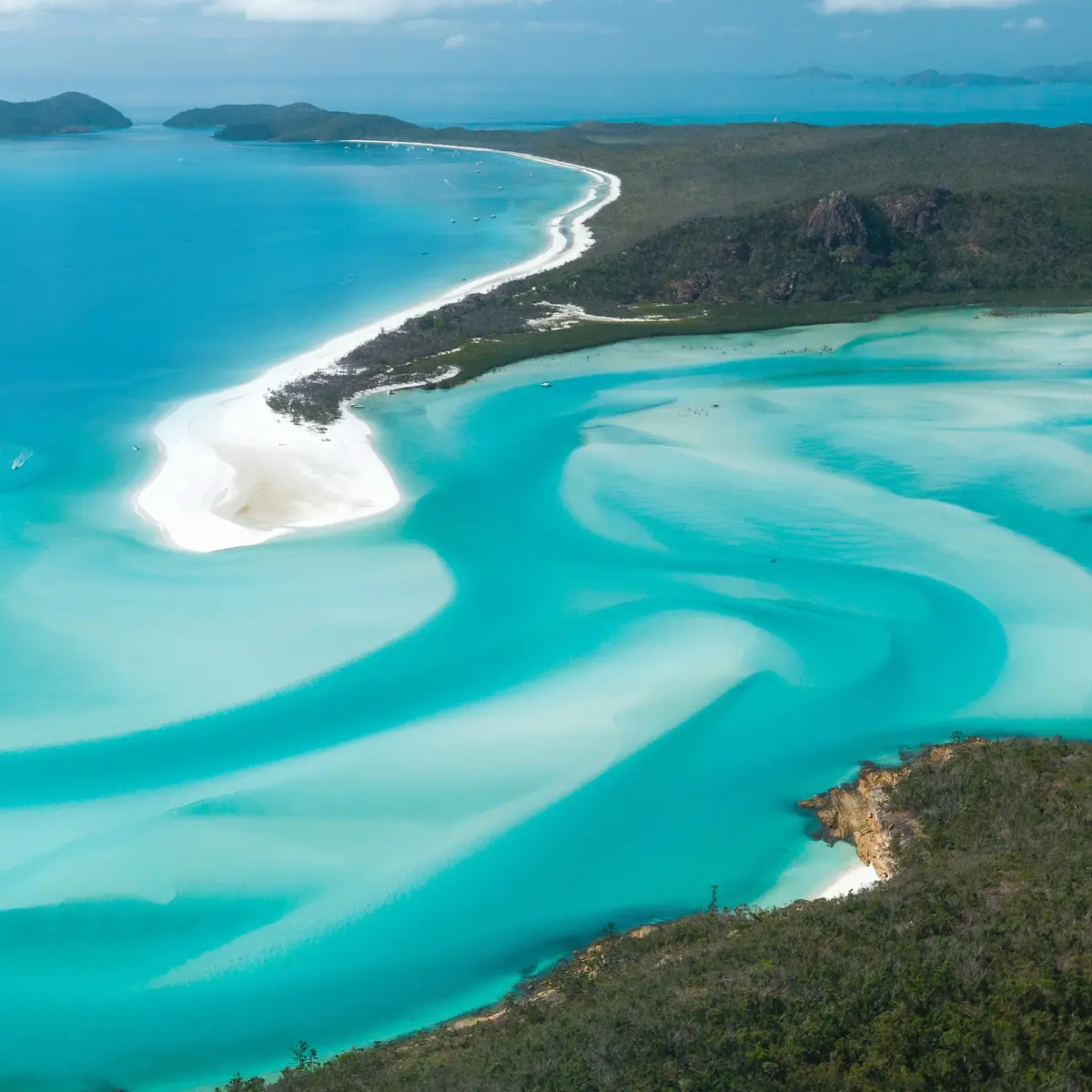 Palm Bungalows, Hamilton Island, Queensland 8