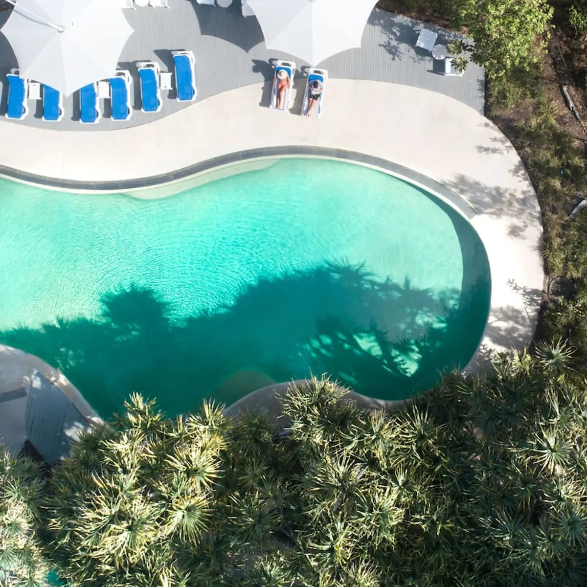 Kingfisher Bay Resort, K'gari (Fraser Island), Australia 6