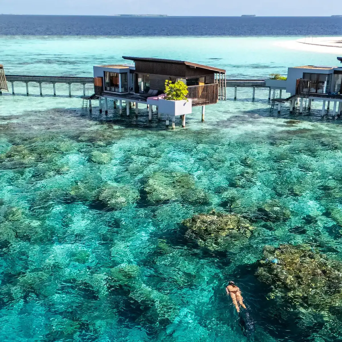 x, Gaafu Alifu Atoll, Maldives 5