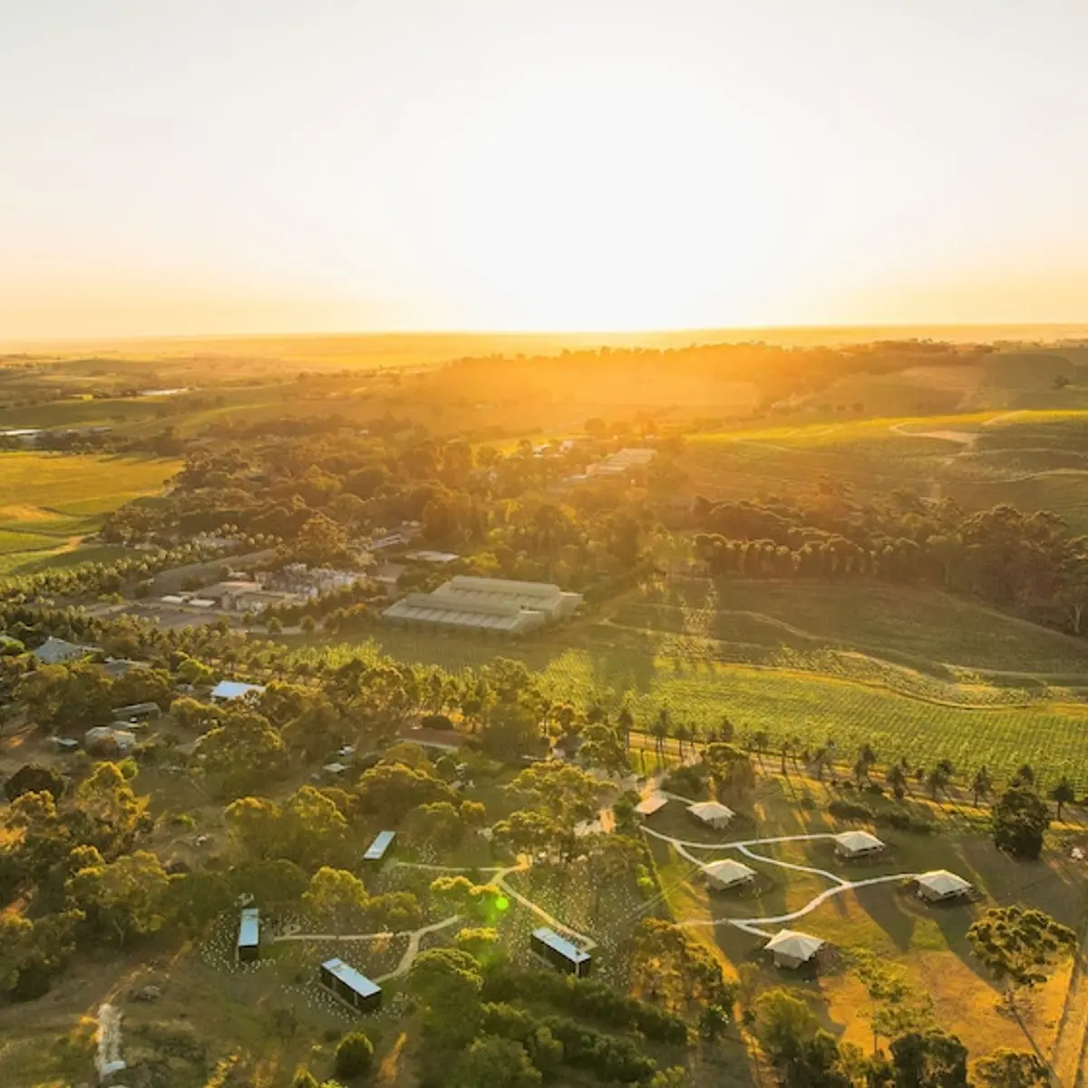 CABN X Seppeltsfield Barossa, Seppeltsfield, Australia 1