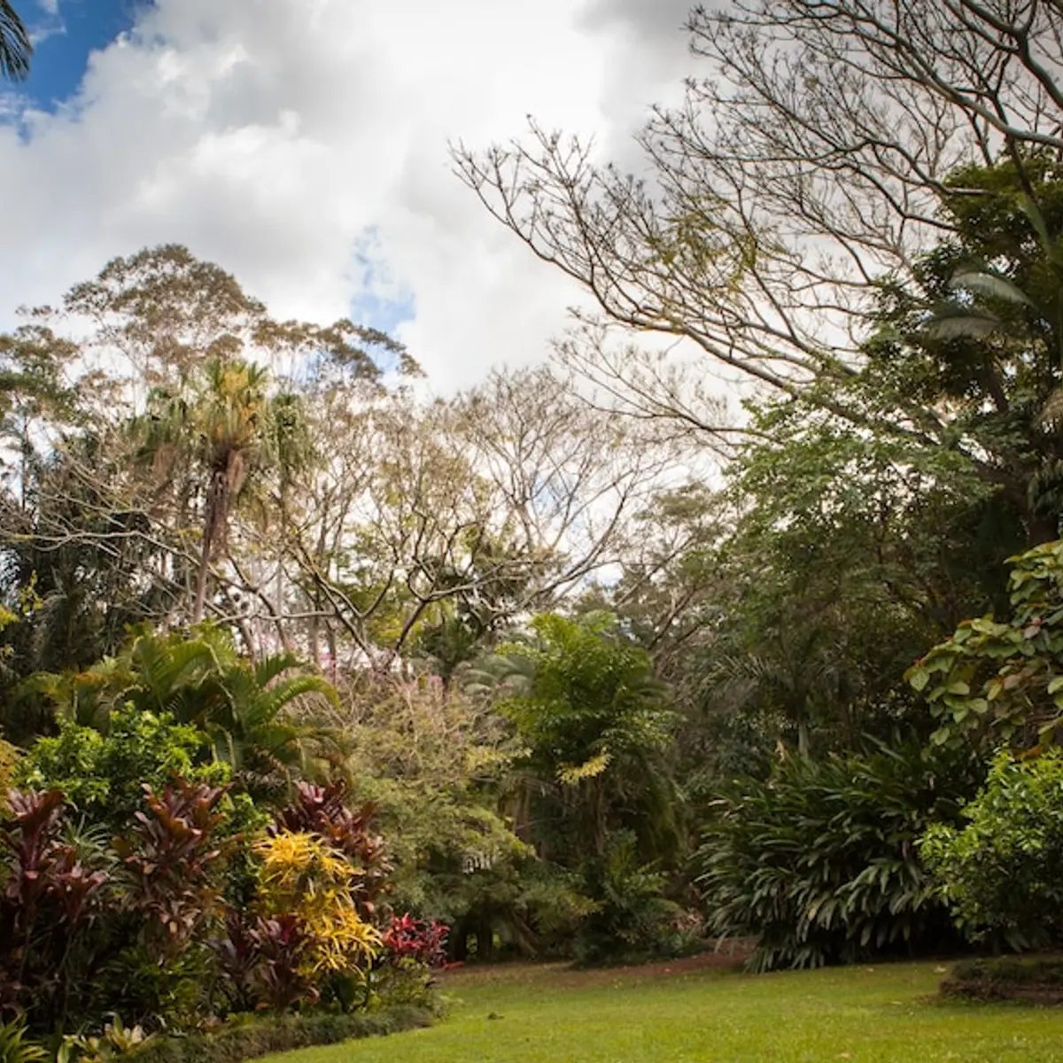 Sanctuary in The Pocket, The Pocket, Australia 1
