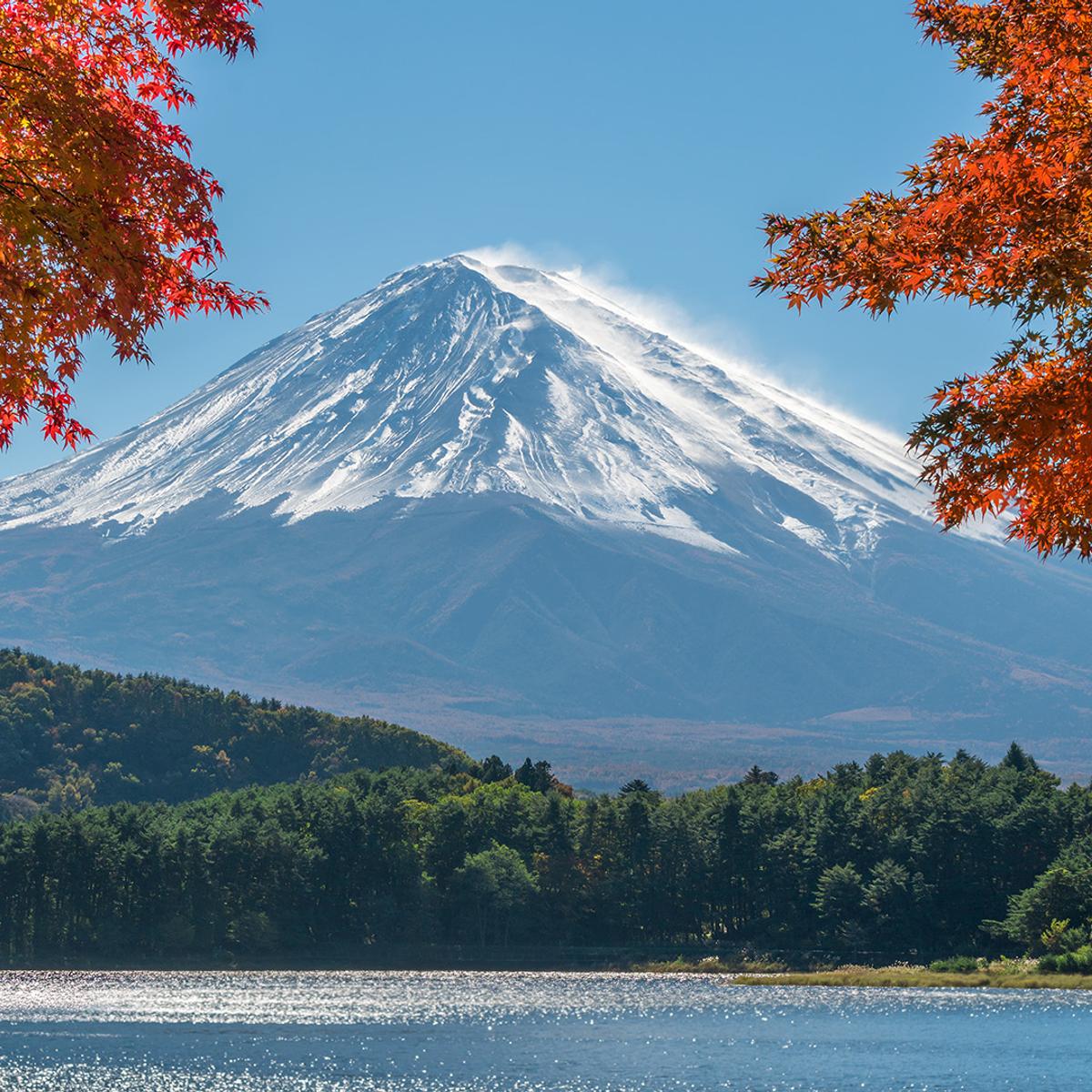 Deluxe 15-Day Best of Japan 2026 with Tokyo, Hiroshima & Osaka  by  6