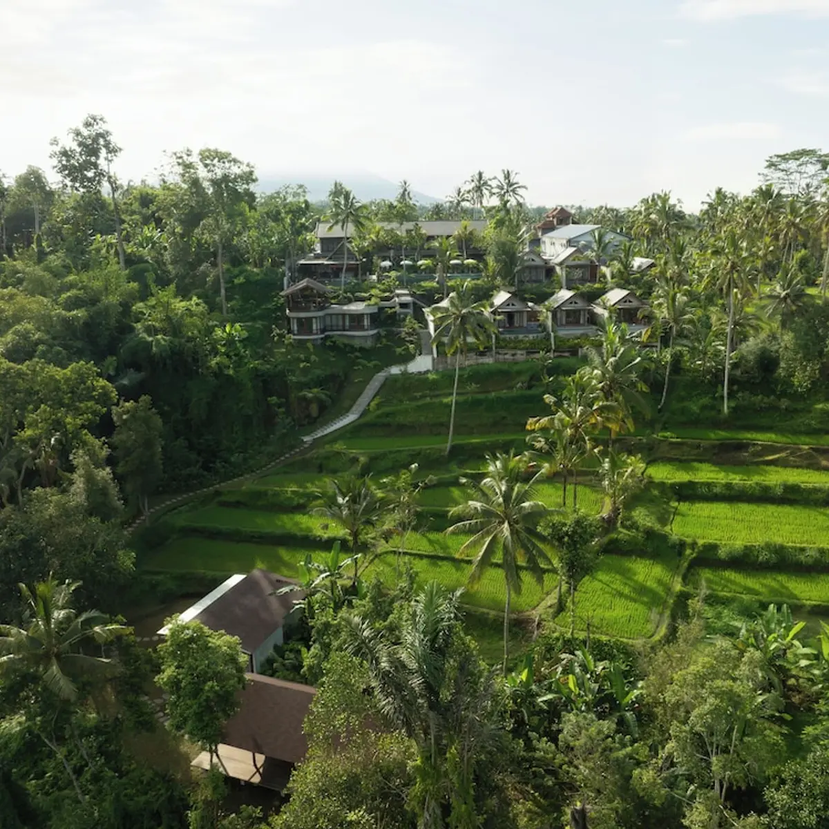ULU Valley Retreat, Sebatu, Indonesia 1