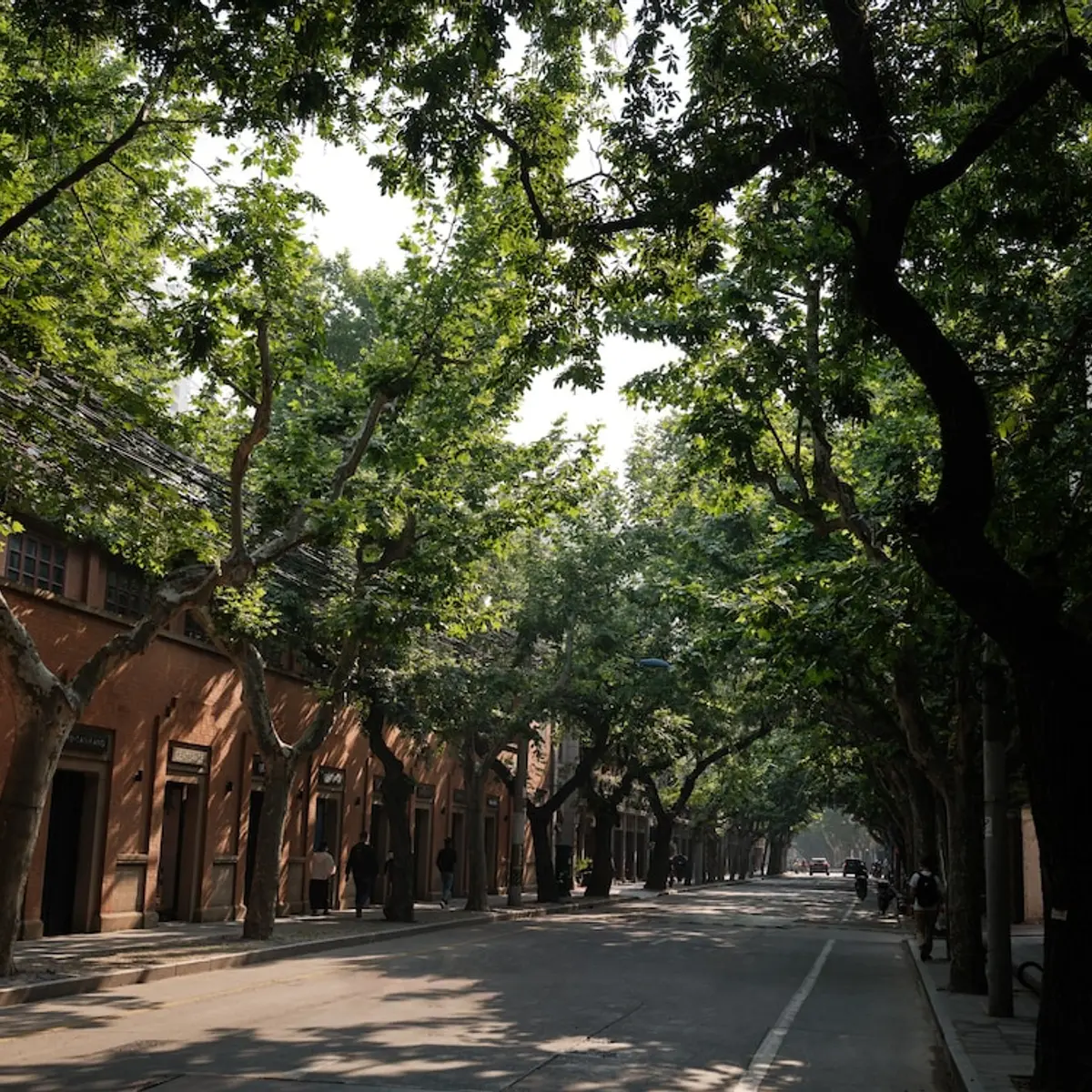 Capella Shanghai, Jian Ye Li, Shanghai, China 7