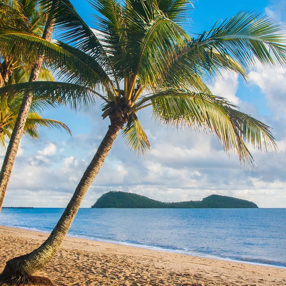 Mantra Amphora Resort, Palm Cove, Queensland 4