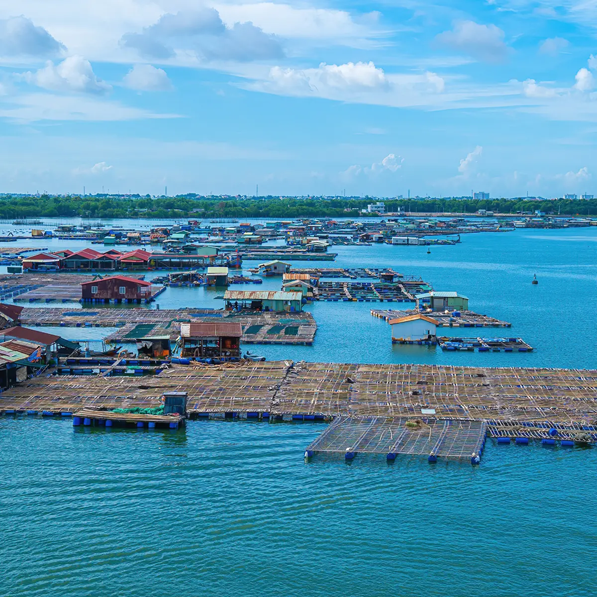 Dhawa Ho Tram Vietnam , Ho Tram, Vietnam 5