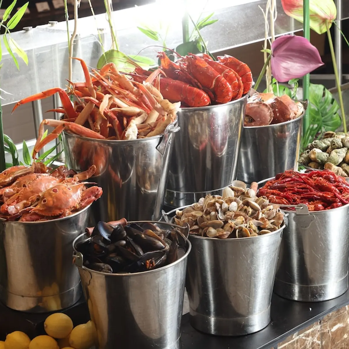 Marco Polo Hongkong Hotel, Kowloon, Hong Kong 6