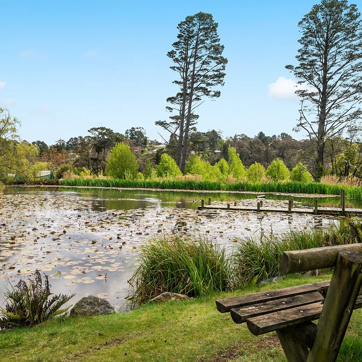 Parklands Country Gardens & Lodges, Blue Mountains, New South Wales 4