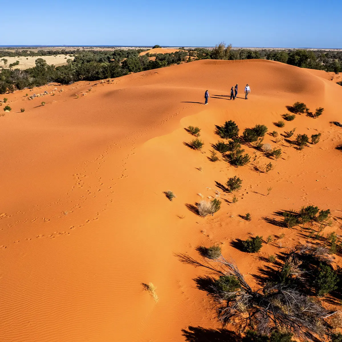 Toogunna Plains Farmstay, Quilpie, Queensland 1