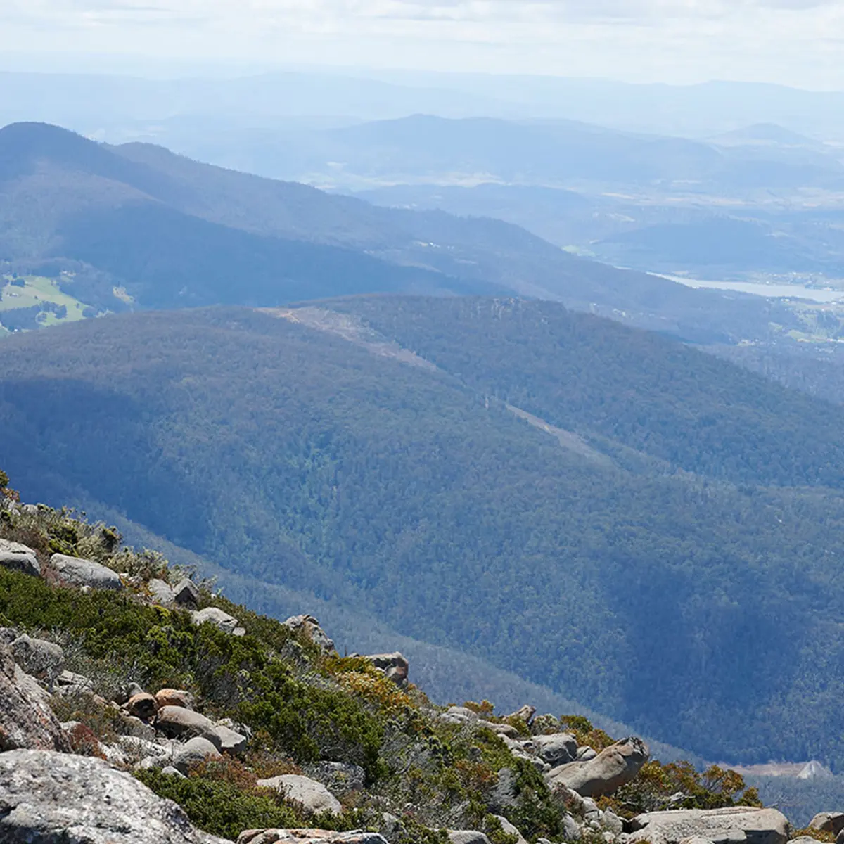 The Cove Kettering, Kettering, Tasmania 6