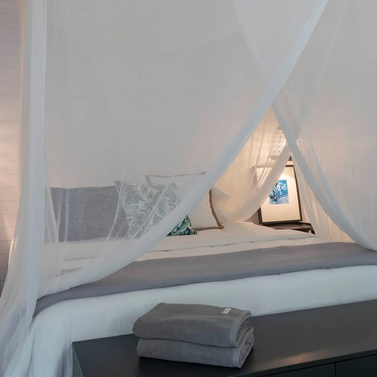 Mist at Cape Tribulation, Daintree Rainforest, Queensland 8